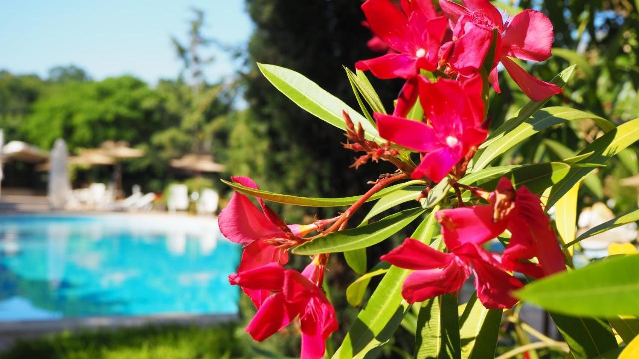 Joya Park Hotel Altın Kumlar Dış mekan fotoğraf