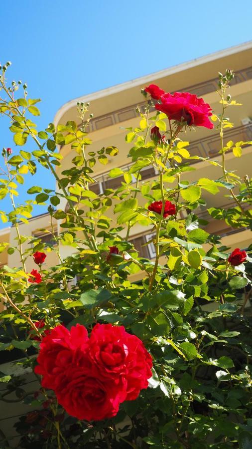Joya Park Hotel Altın Kumlar Dış mekan fotoğraf